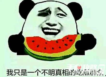 吃瓜专用图瓜子,品味人生百态——吃瓜专用图瓜子之旅