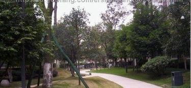 碧水华庭吃瓜,吃瓜群众眼中的社区生活百态