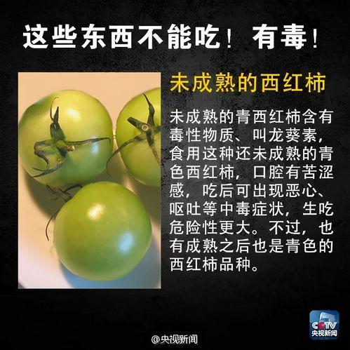 东莞二中吃瓜,揭秘校园里的热点风波