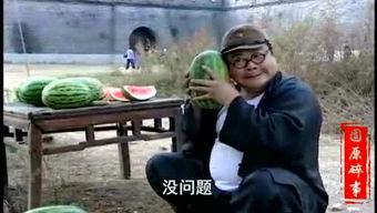 甘肃县长吃瓜视频,一瓜引发官场风波