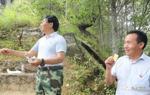 甘肃县长吃瓜视频,一瓜引发官场风波