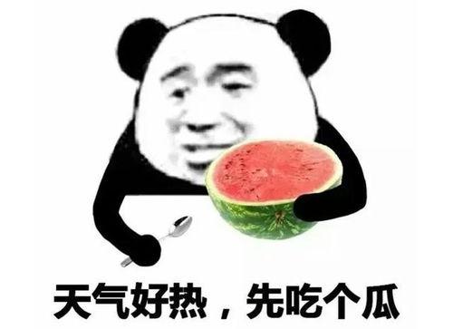瓜哥吃瓜雪糕表情包图片,表情包里的夏日清凉